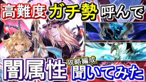 【ガチ勢対談】新企画！高難度対談　闇属性ガチ勢に現環境のスパルシ・天元について攻略編成聞いてみた【グラブル】