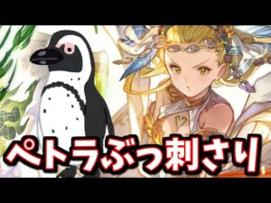 最終ペトラの正解見つけたんじゃないか？最終ペトラ採用型ルシHLフルオート【グラブル】